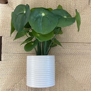 Hilton Carter Green Leafy Plant in White Planter